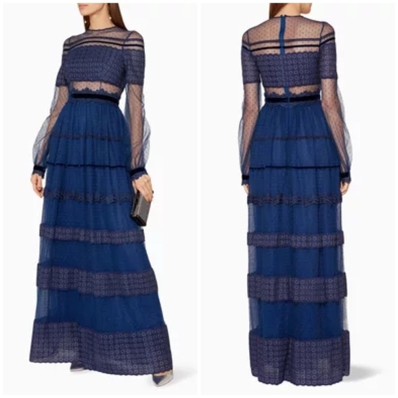 Costarellos Dresses & Skirts - NWT Costarellos Blue Lace Panelled Maxi Dress Prairie Dot Tulle Sz 34
